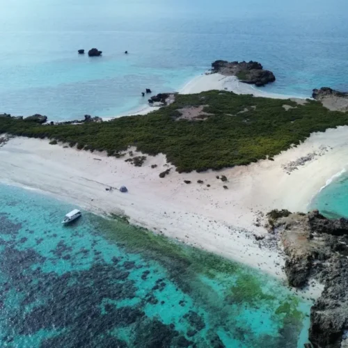 Morning Snorkeling at Daymaniyat Islands