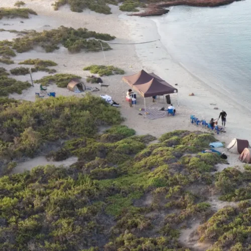 Overnight Camping at Daymaniyat Islands