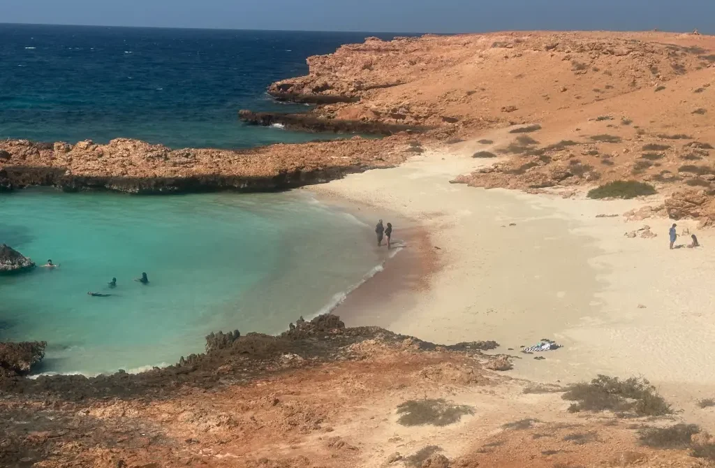 First Time at Daymaniyat Islands? 15 Honest Things Nobody Tells You Before You Go