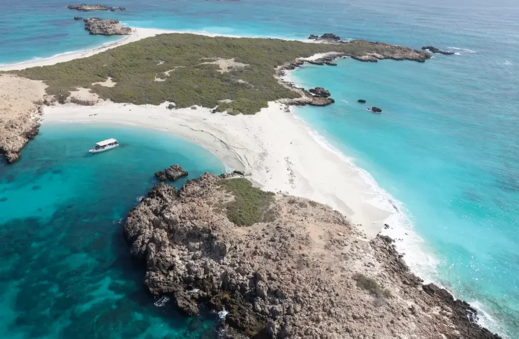 Snorkeling vs Scuba Diving at Daymaniyat Islands: Which Should You Choose?