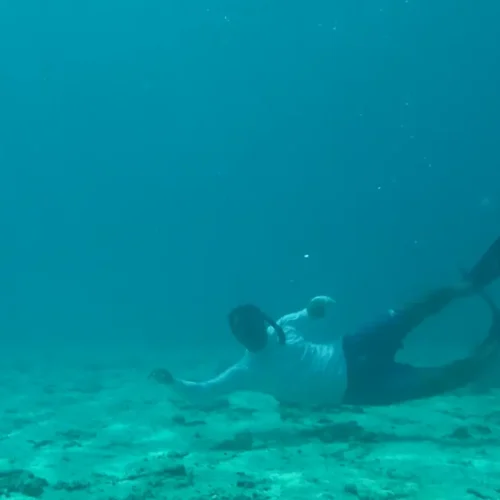 Certified Scuba Diving at Daymaniyat Islands