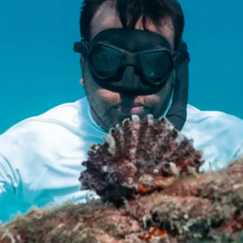 Private Morning Snorkeling at Daymaniyat Islands