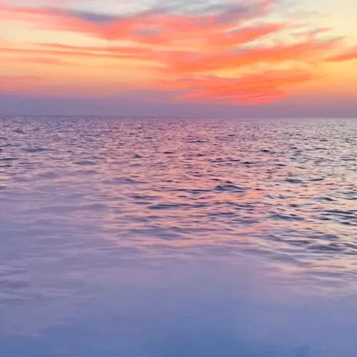 Private Sunset Snorkeling at Daymaniyat Islands